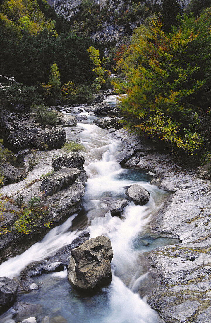 Fluss Ara. Bujaruelo-Tal. Ordesa NP und Monte Perdido. Pyrenäen. Provinz Huesca. Aragonien. Spanien