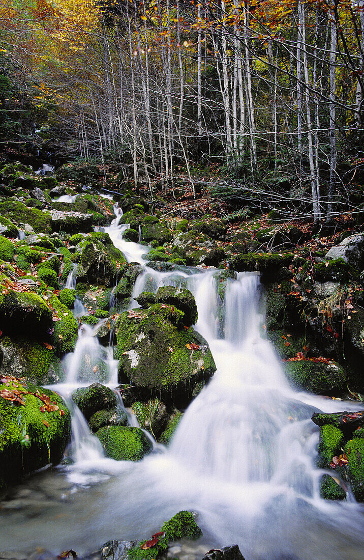 La Capradiza. Añisclo-Tal. Schutzgebiet des Ordesa NP und des Monte Perdido. Pyrenäen. Provinz Huesca. Aragonien. Spanien