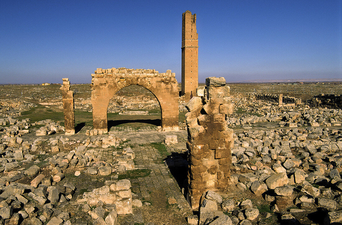 Ruinen der Ulu Cami Moschee (s.VIII). Harran. Südost-Anatolien. Türkei