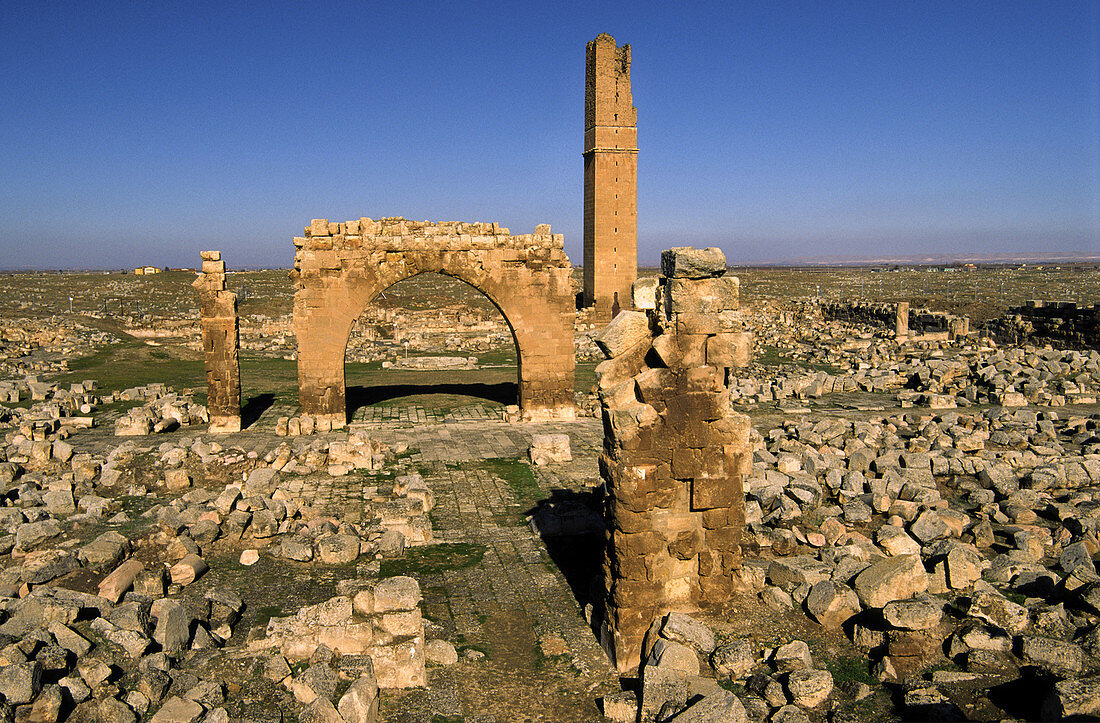 Ruins of the Ulu Cami mosque (s.VIII). Harran. Southeast Anatolia. Turkey.