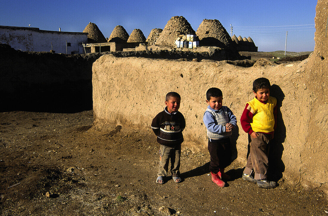 Casas colmena. Harran. Southeast Anatolia. Turkey.