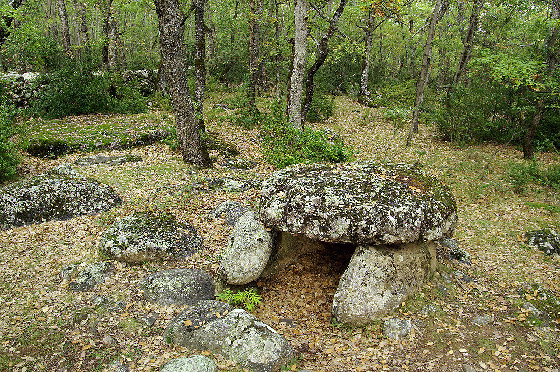 Cornudella-Dolmen. Bosque de Transás. Pirineo Aragonés. Provinz Huesca. Spanien