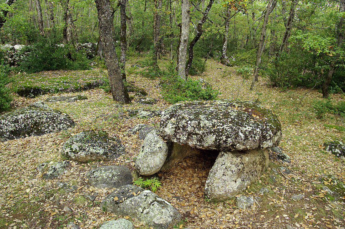 Cornudella dolmen. Bosque de Transás. Pirineo Aragonés. Huesca province. Spain.