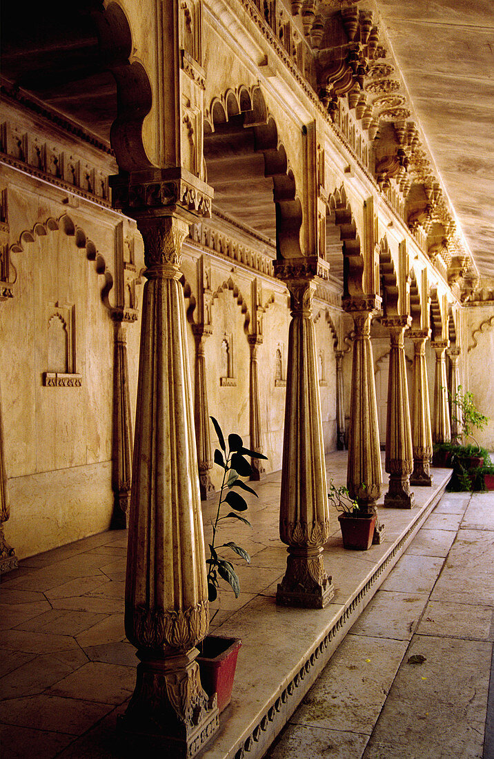 Courtyard in the City Palace. Udaipur. Rajastan. India.