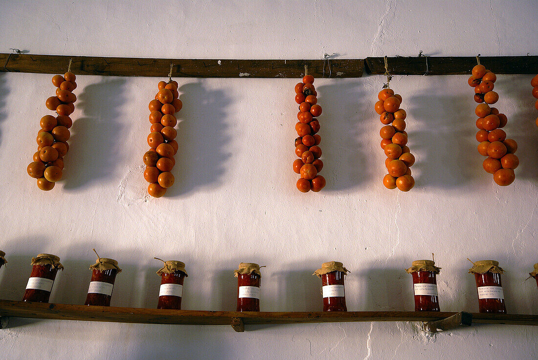 Tomaten und Tomatenkonserven. Finca de Es Calderers (a.1700). Comarca de Es Pla. Sant Joan. Mallorca. Balearen. Spanien