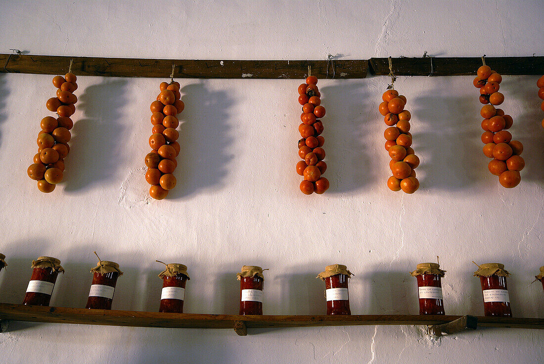 Tomatoes and preserved tomatoes. Finca de Es Calderers (a.1700). Comarca de Es Pla. Sant Joan. Mallorca. Baleares. Spain.