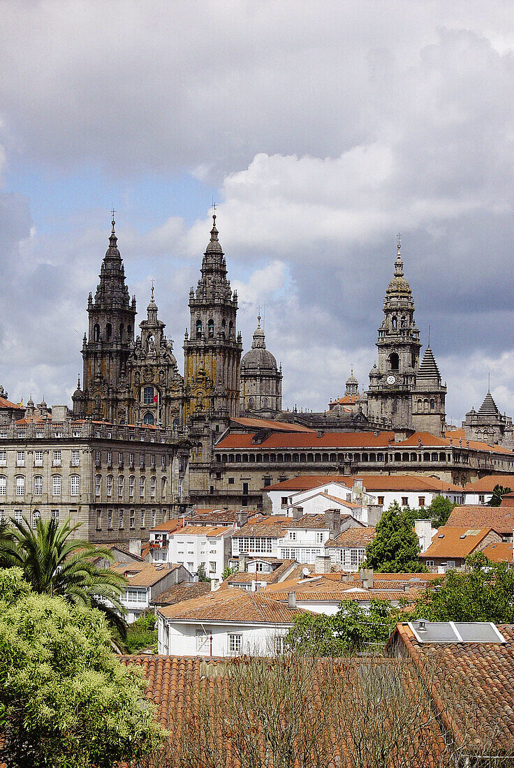 View of the Cathedral from Paseo de la Herradura. Santiago de Compostela. La Coruña province, Spain