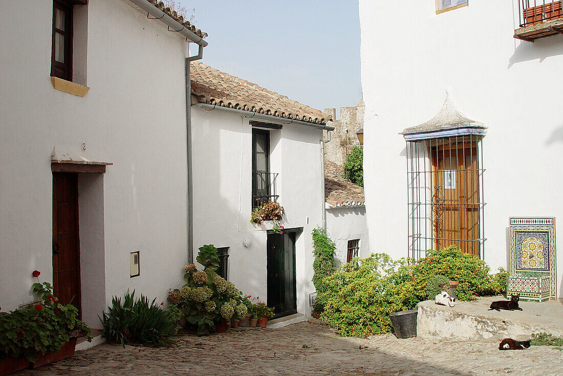 Castellar de la Frontera. Cádiz province. Andalucia. Spain