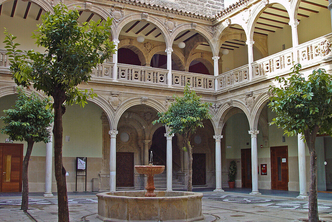 Renaissance courtyard inside the Palacio de Jabalquinto in the town of Baeza. Jaen province. Andalusia. Spain.