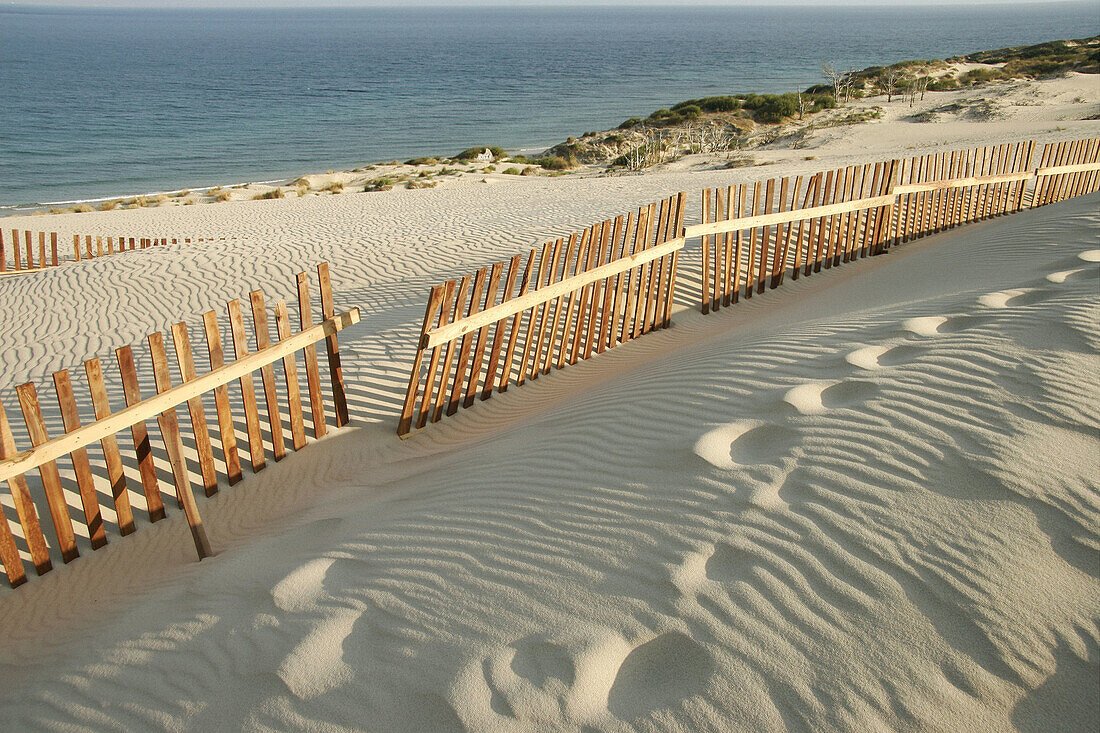 Sand dunes barriers. Valdevaqueros beach, Tarifa-Cádiz, Andalucía. Spain