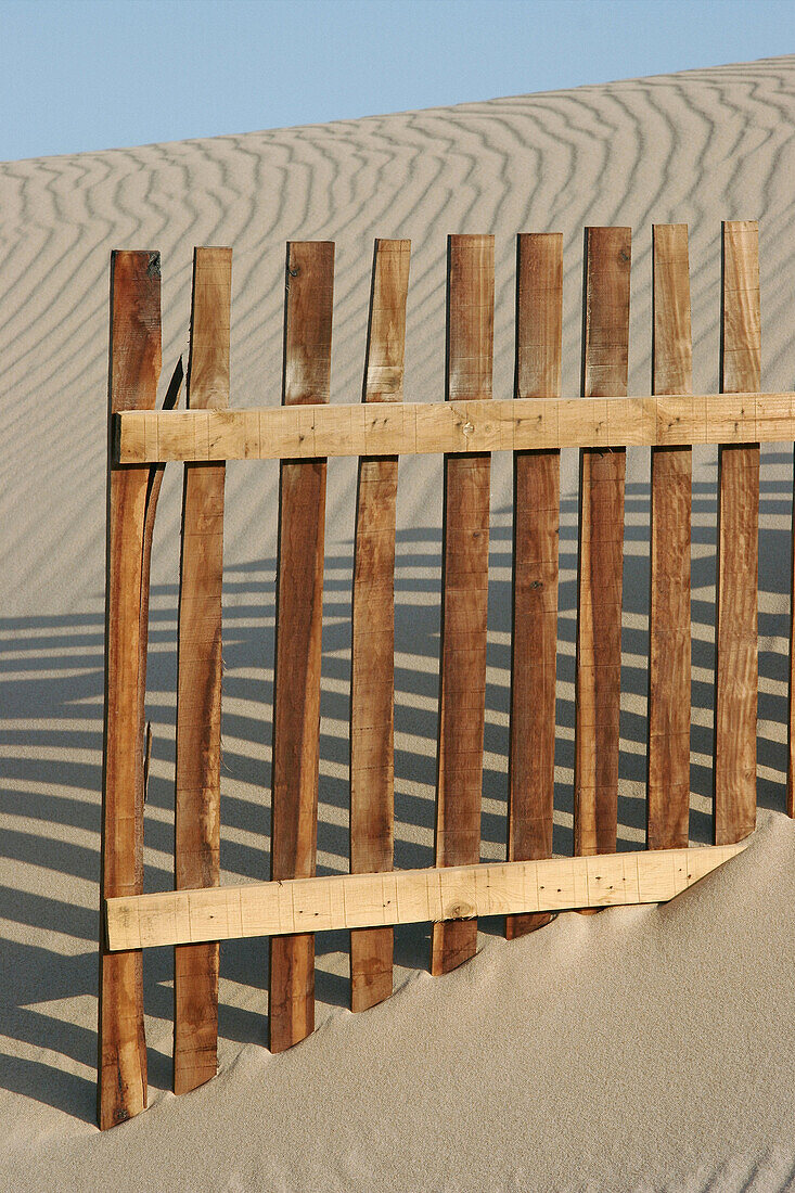 Sand dunes barriers. Valdevaqueros beach, Tarifa-Cádiz, Andalucía. Spain