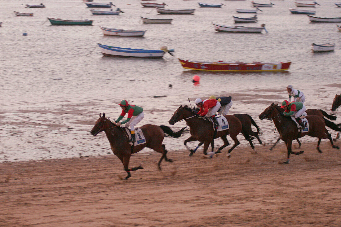 Horse race on beach, Sanlúcar de Barrameda. Cádiz province, Andalusia. Spain