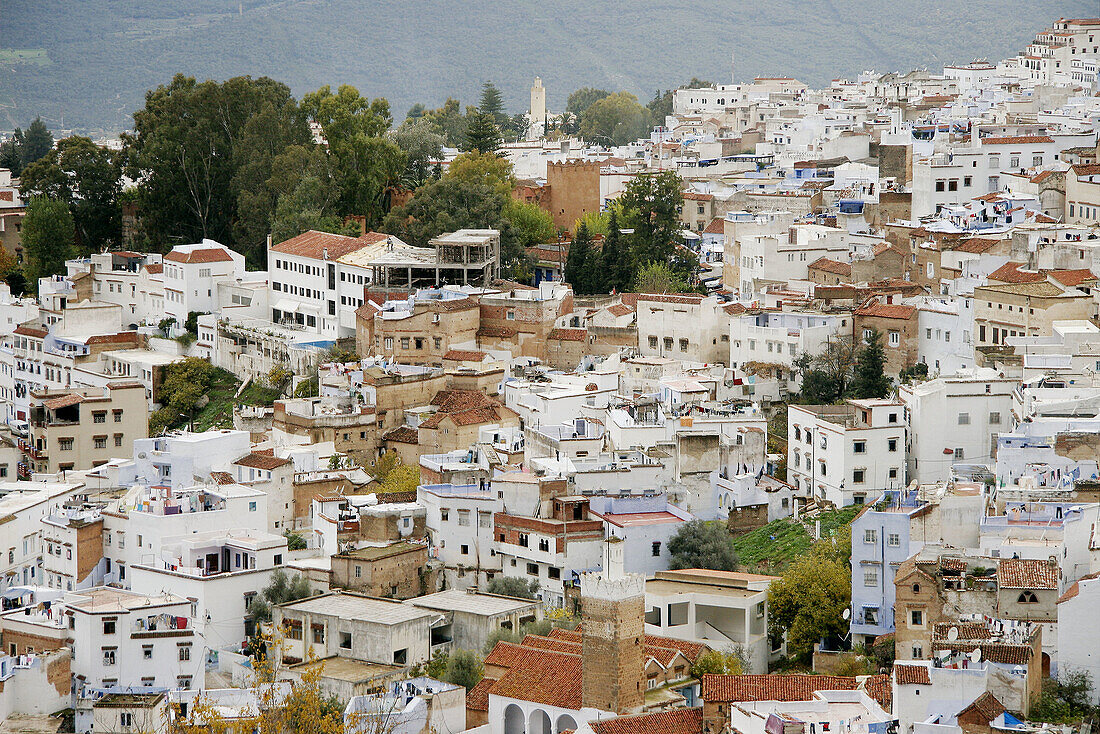 Chefchaouen general view, Morocco.