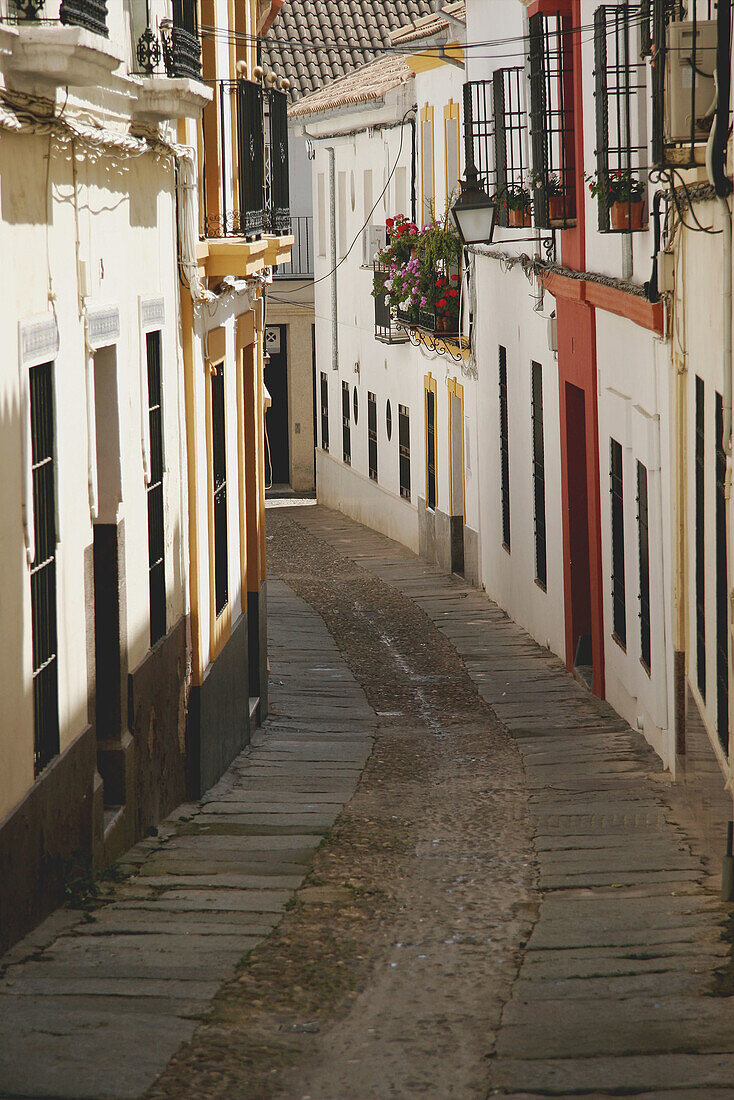 Typical street. Cordoba, Andalucía, Spain.