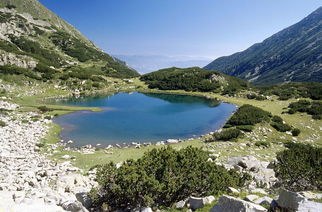 Pirin National park. Bulgaria.