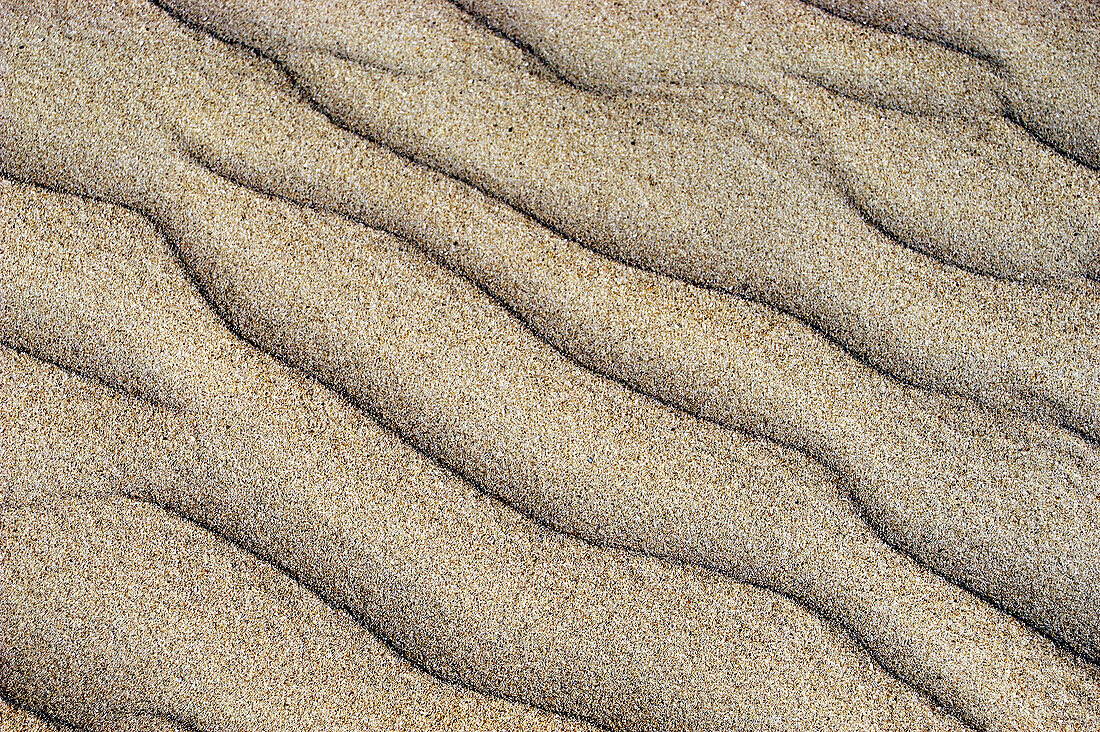 Sand ripples