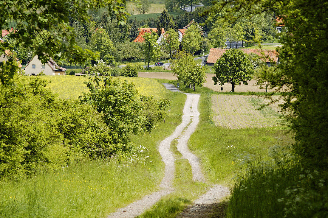 Typical landscape in southern Lower-Saxony near Göttingen. Germany