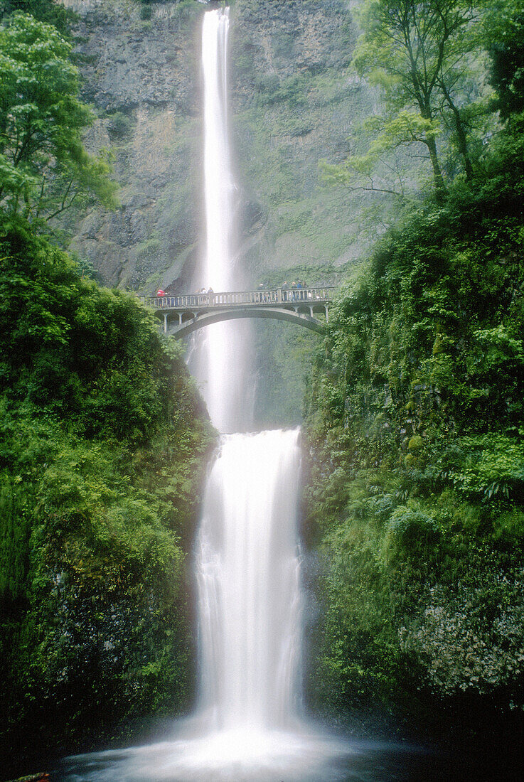 Footbridge over Multnomah Falls. Columbia River Gorge National Scenic Area. Oregon. USA