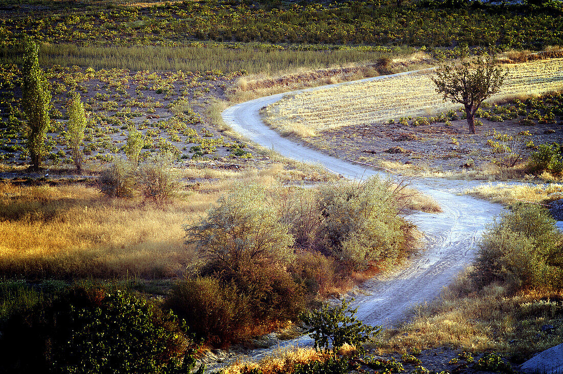 Winding path and fields. Cappadocia. Turkey.