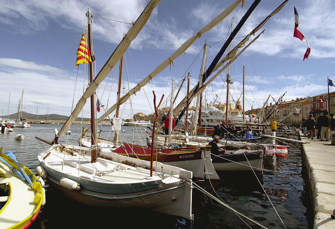 Boats in the port of St-Tropez. St.-Tropez. France