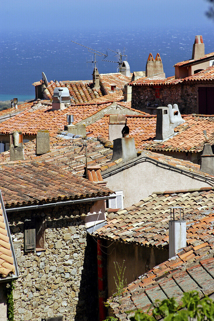 Rooftops of Ramatuelle near St.-Tropez. Riviera. France