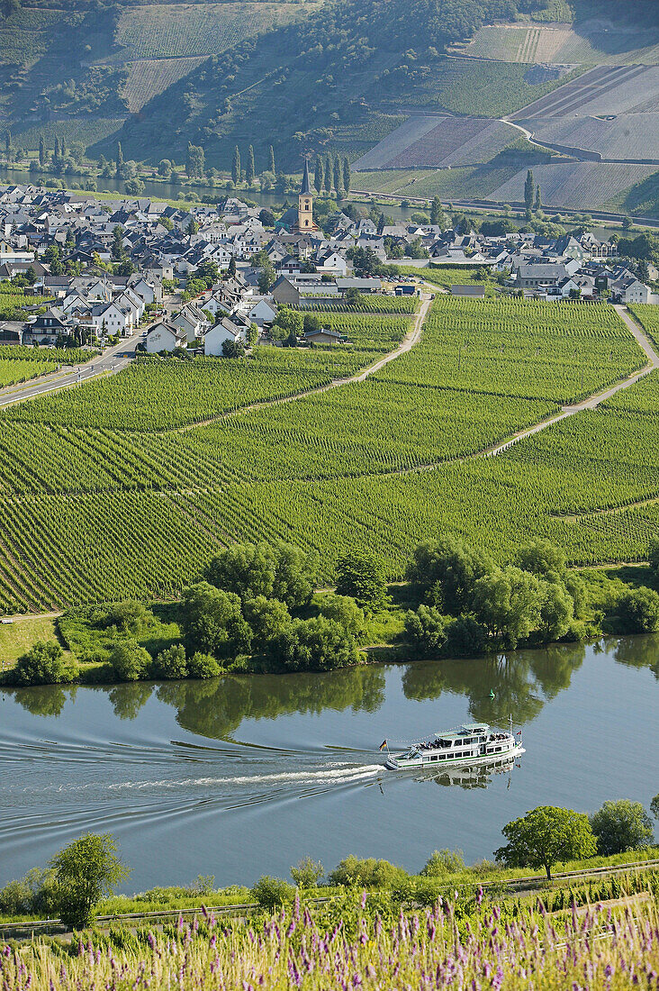 Terraced vineyards on hills along the Moselle River with boat near the village of Trittenheim. Moselle River Valley. Germany
