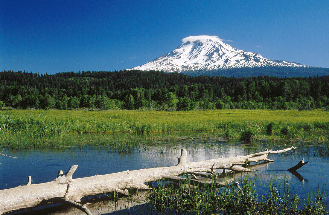 Mount Adams and Trout Lake. Washington. USA
