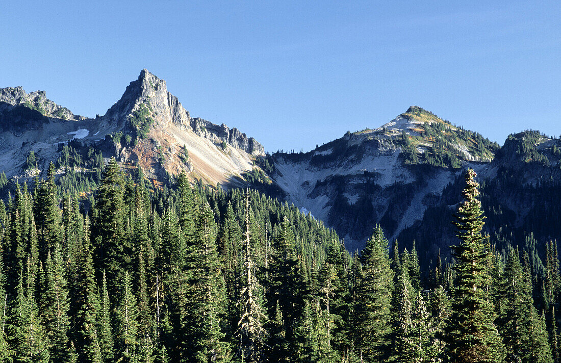 Totoosh Range seen from Mt Rainier National Park. Washington, USA