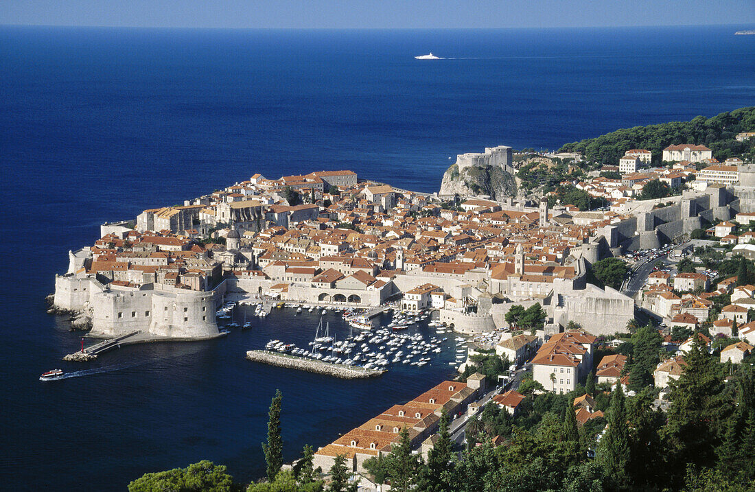 Old town Dubrovnik, overview with a few trees in foreground. Croatia