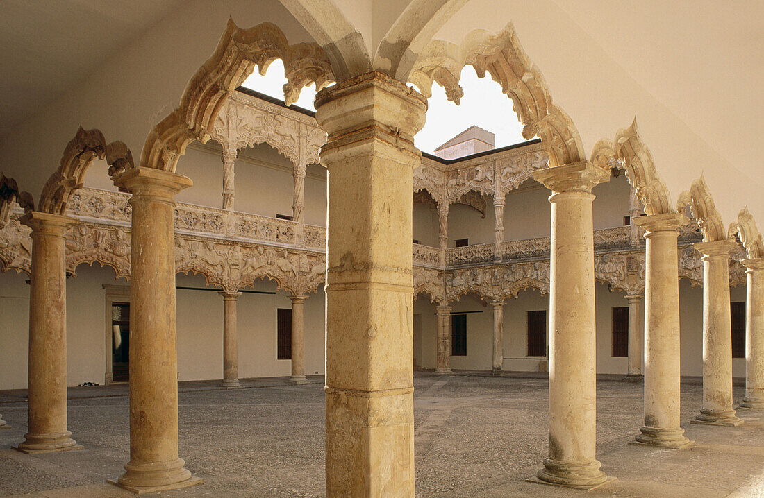 Court of the Lions at Palacio del Infantado built 15th century. Guadalajara. Spain