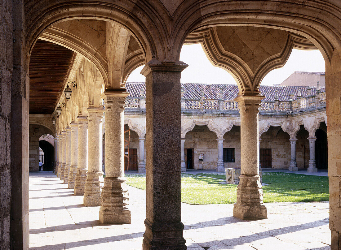 Courtyard of Minor School, Salamanca. Castilla-León, Spain