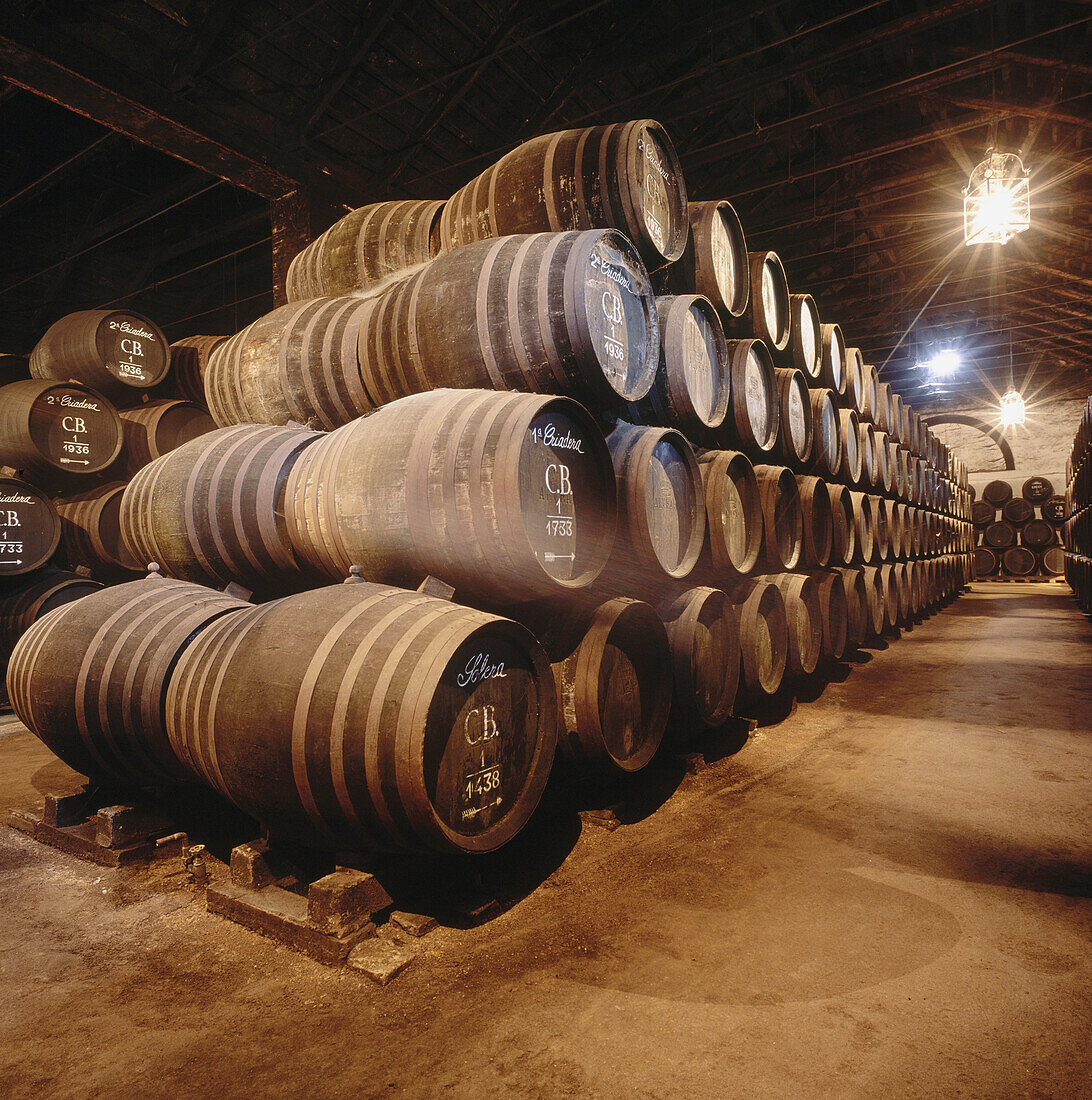 Alvear Winery, Montilla, Córdoba province, Spain