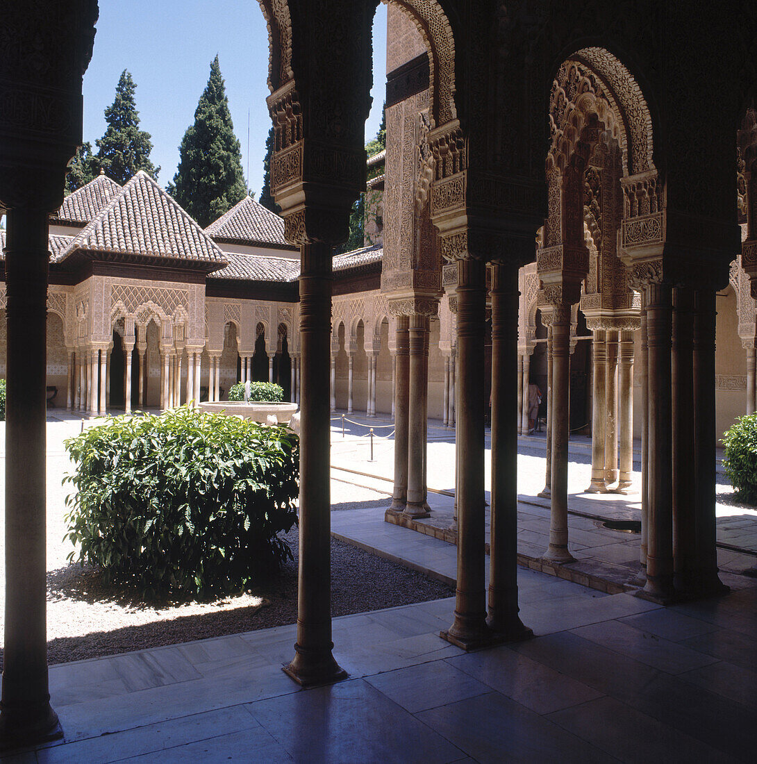 Court of the Lions, Alhambra, Granada. Andalusia, Spain