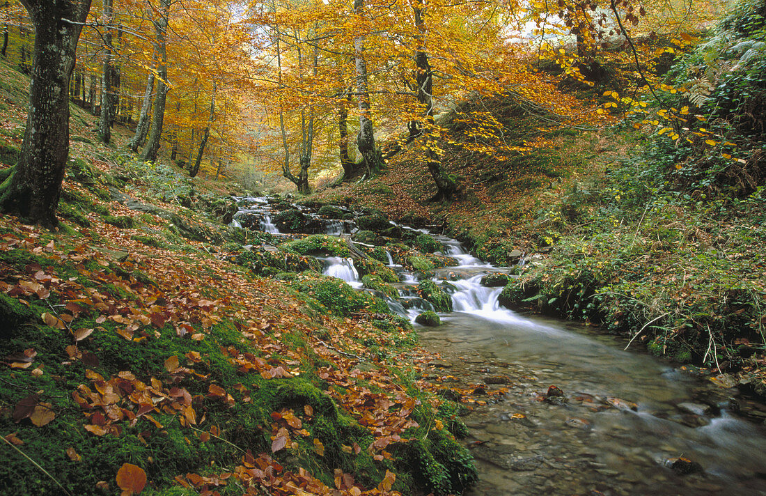 Altzania river. Sierra de Aitzkorri. Gipuzkoa. Basque Country. Spain