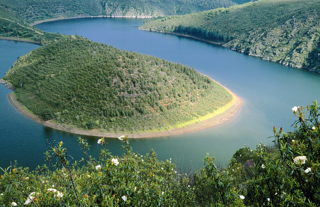 Alagón river reservoir. Cáceres province. Spain