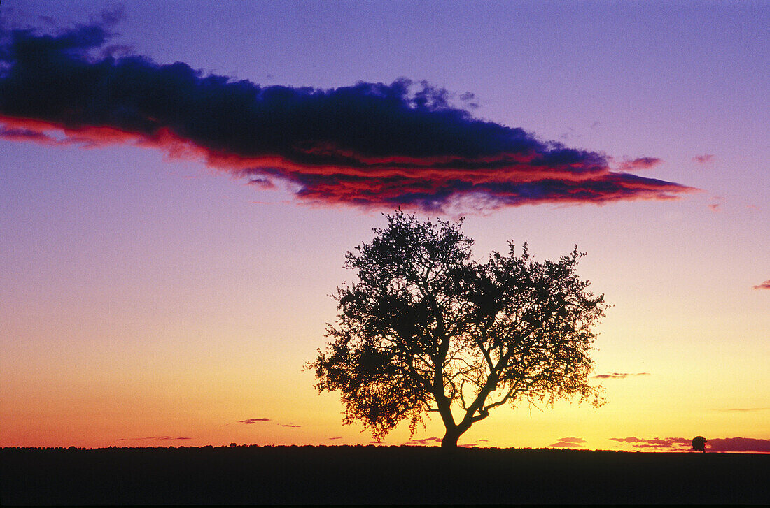 Late evening sun at El Toboso. Toledo province, Spain