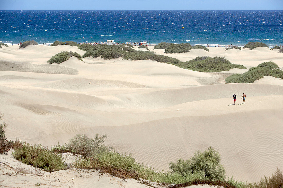 Dunas de Maspalomas, Großkanarische Inseln, Kanarische Inseln