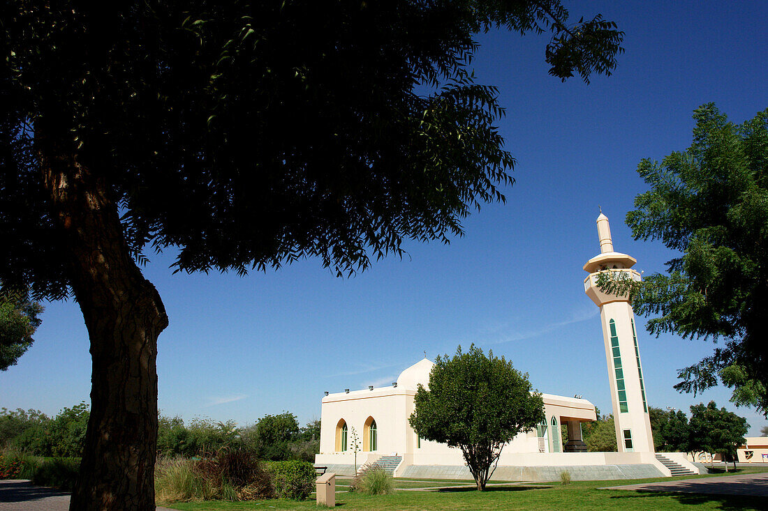 Moschee in Al Ain, Abu Dhabi, Vereinigte Arabische Emirate, VAE