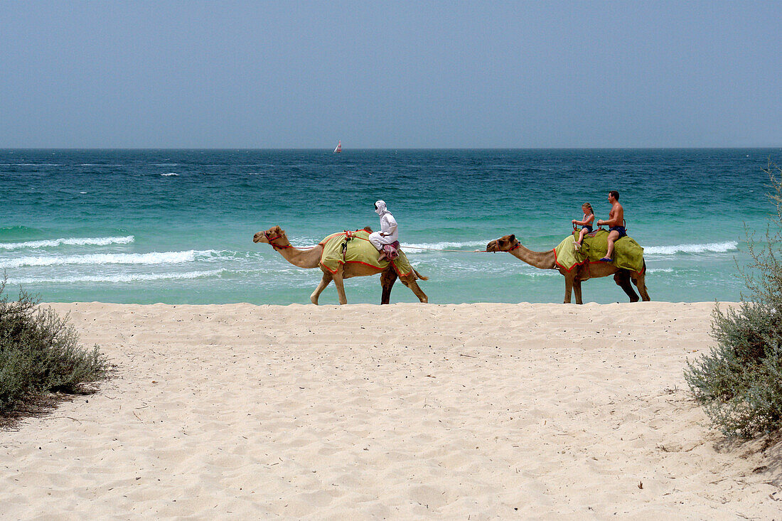 Touristen reiten auf Kamel entlang Strand, Dubai, Vereinigte Arabische Emirate, VAE