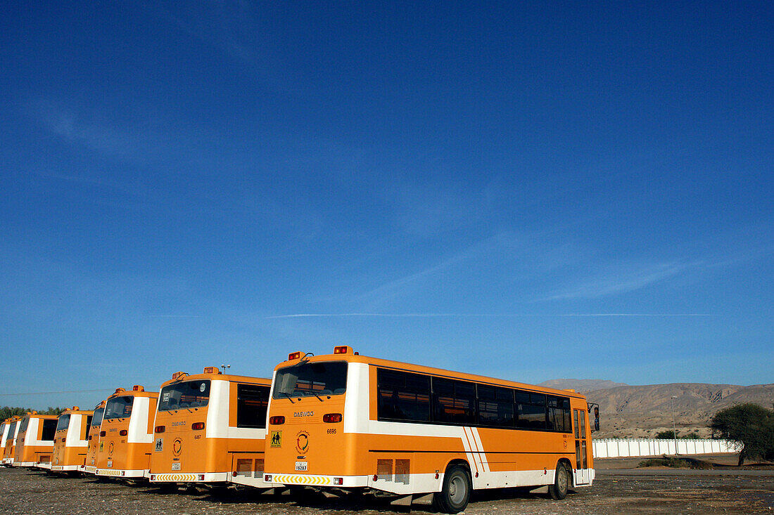 Schoolbus, Ras Al Khaimah, RAK, United Arab Emirates, UAE