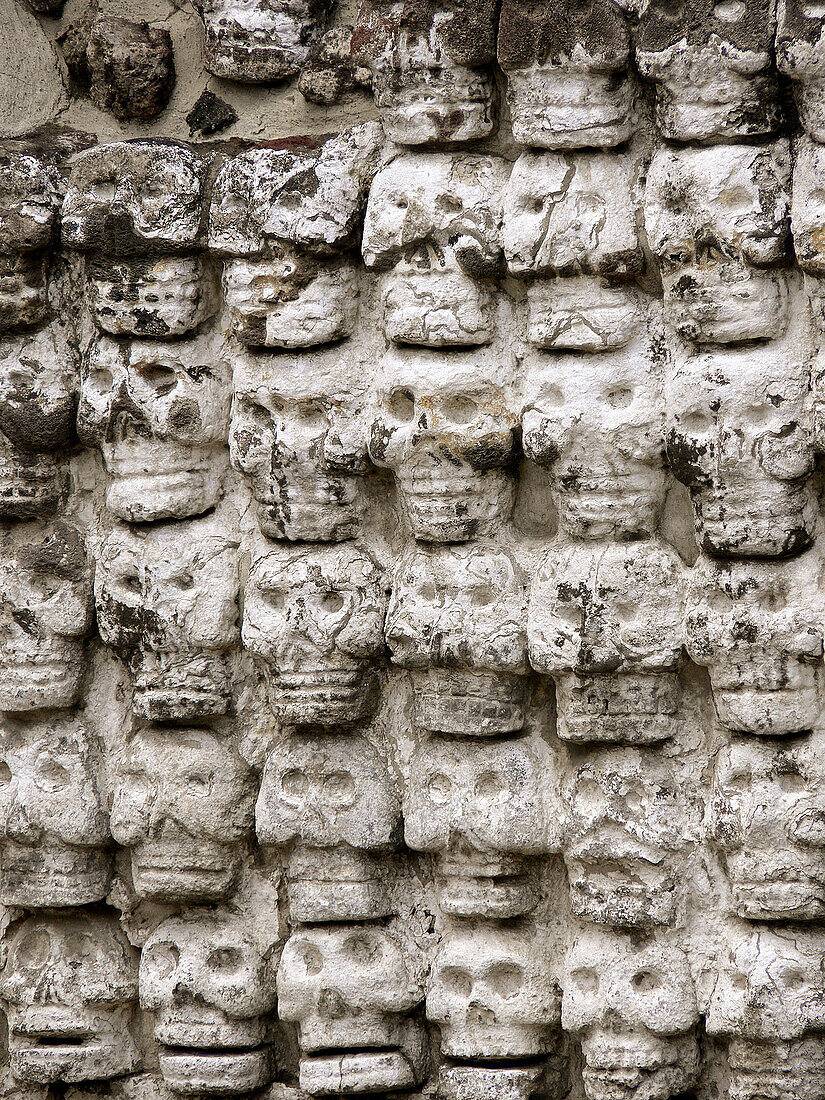 Tzompantli (Platform of Skulls) Templo Mayor, Mexico City