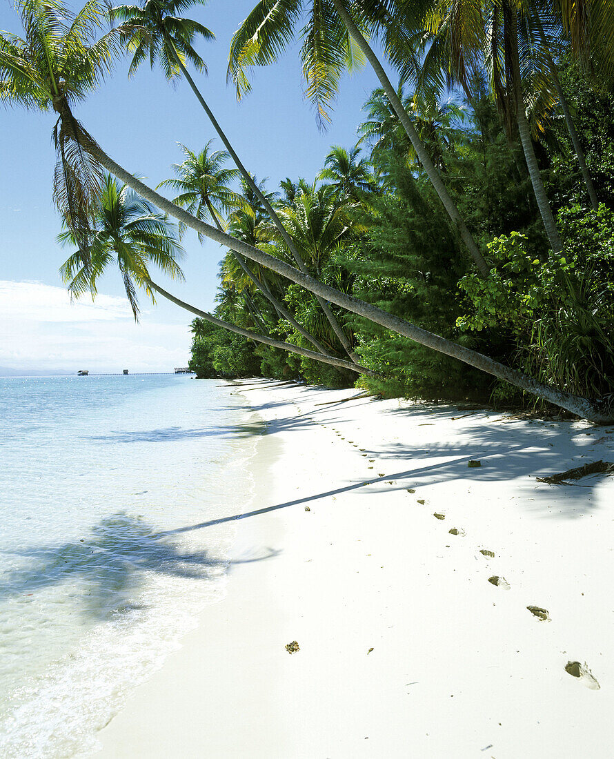 Tropical beach with foot steps in the sand. Archipelago of Raja Ampat. Papua, Indonesia