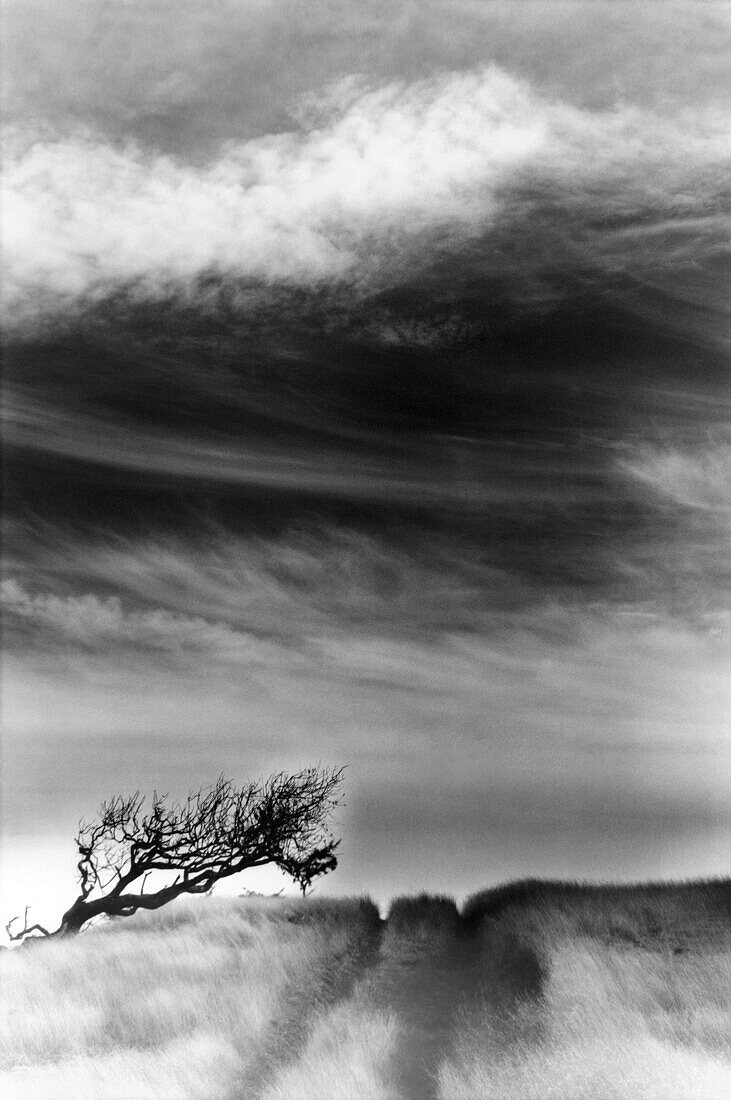  Anger, B&W, Beyond, Black-and-White, Cloud, Clouds, Country, Countryside, Daytime, Deserted, Ecosystem, Ecosystems, Exterior, Field, Fields, Horizon, Horizons, Landscape, Landscapes, Monochromatic, Monochrome, Natural phenomena, Natural phenomenon, Natur