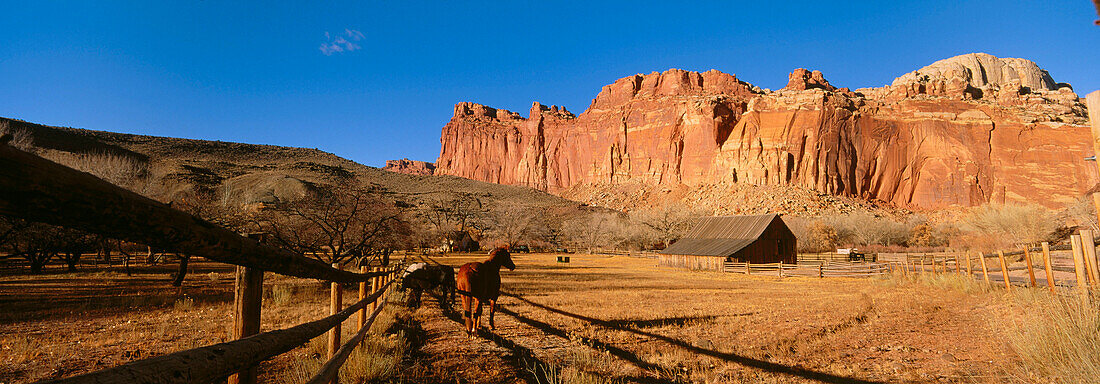 Capitol Reef National Park. Utah. USA