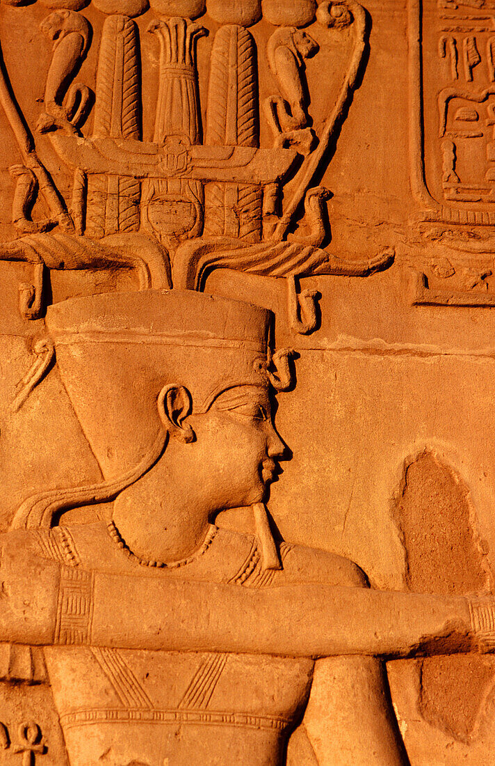 Relief in Kom Ombo Temple. Egypt