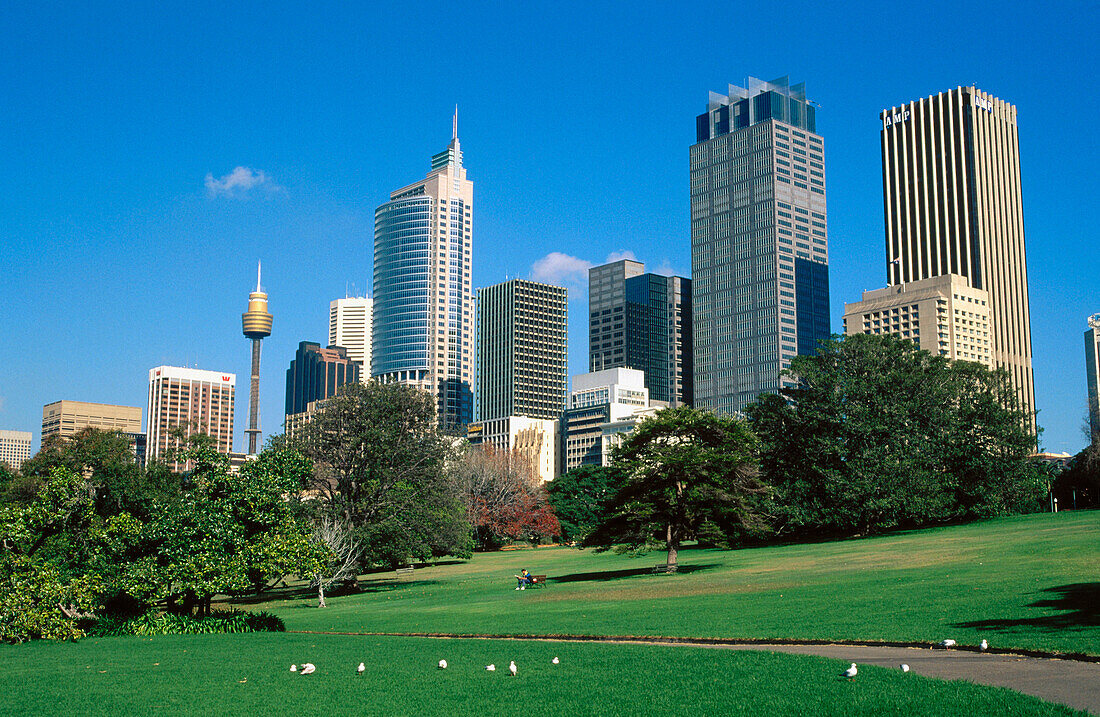 Sydney skyline, Austalia