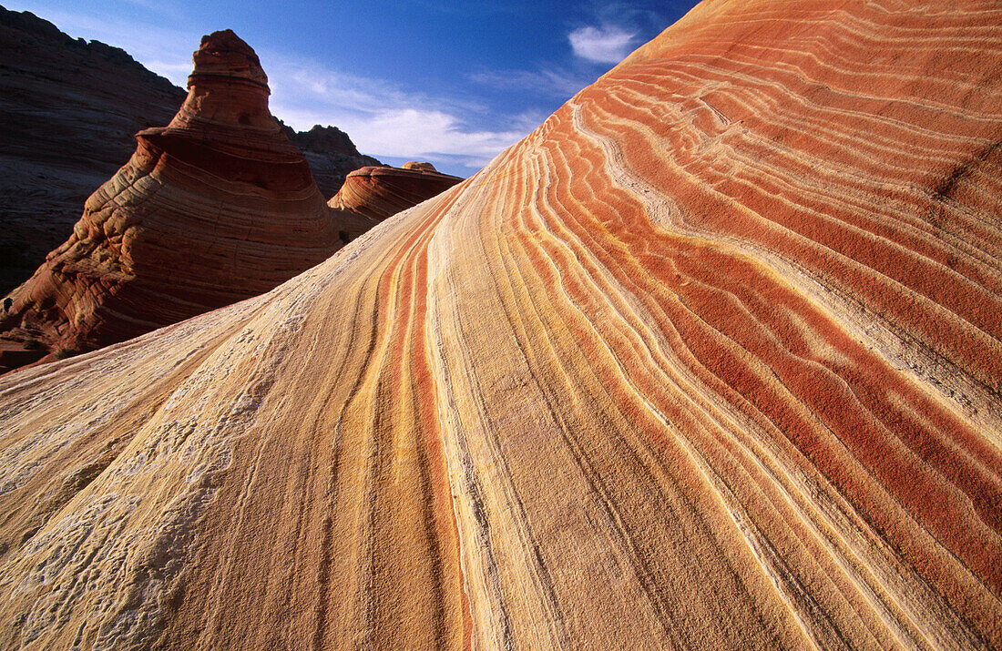 Petrified sand dunes. Paria Canyon-Vermilion Cliffs Wilderness. Arizona. USA