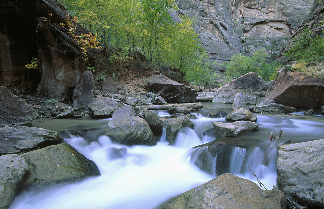 Zion National Park in Utah, USA