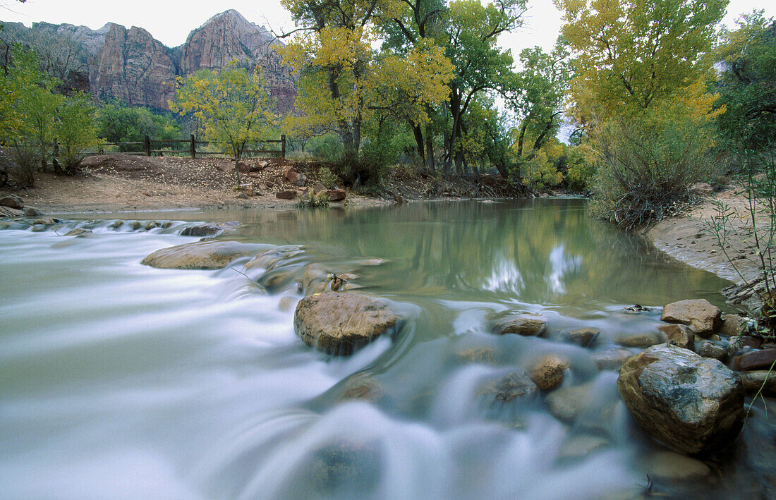 Zion National Park in Utah, USA