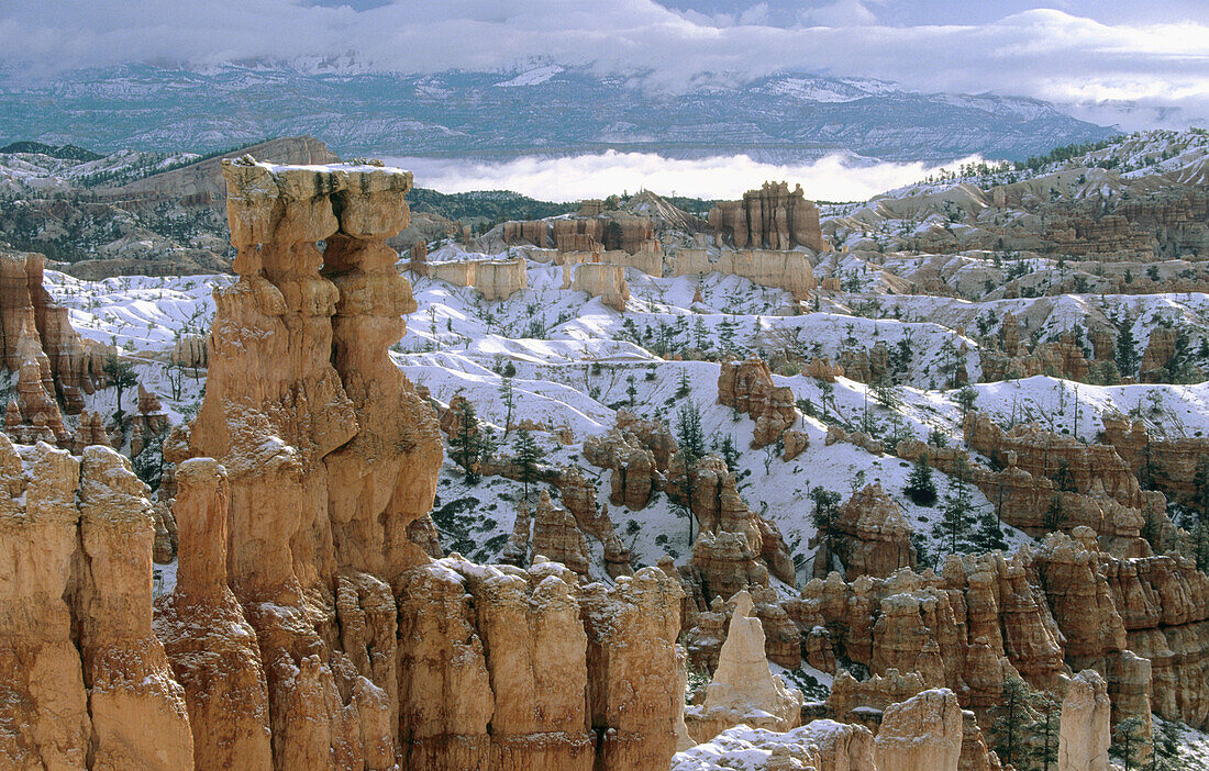 Bryce Canyon National Park. Utah. USA